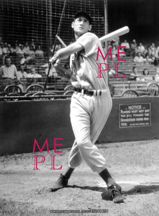 : Ted Williams, 1941. ? : Ted Williams, 1941. ?