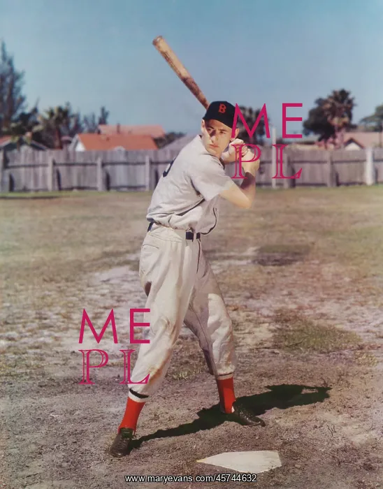 : Ted Williams - Baseball - Sports - Athlete : Ted Williams - Baseball - Sports - Athlete