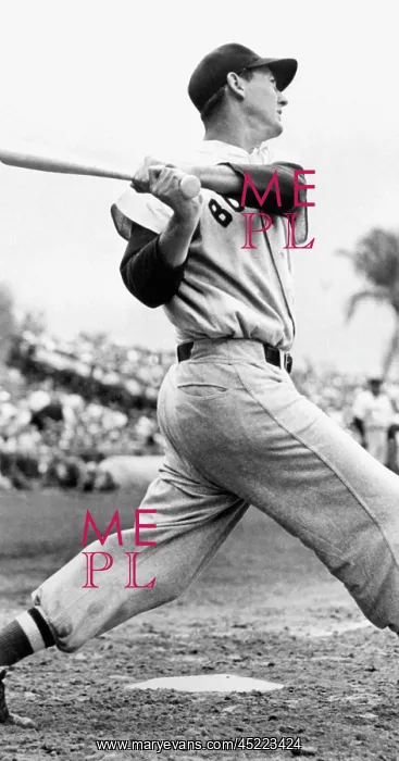 : Ted Williams of the Boston Red Sox, ca. ? : Ted Williams of the Boston Red Sox, ca. ?