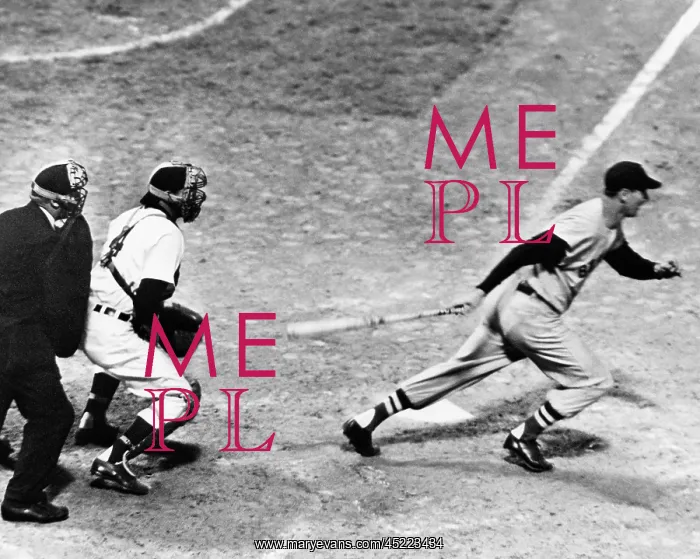 : Ted Williams of the Boston Red Sox, May ? : Ted Williams of the Boston Red Sox, May ?