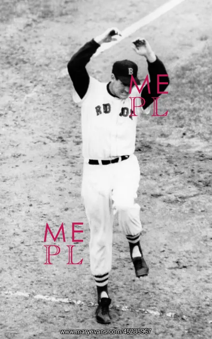 : Ted Williams of the Boston Red Sox, reacting ? : Ted Williams of the Boston Red Sox, reacting ?
