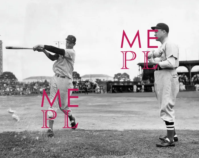 : Ted Williams gets batting practice by hitting ? : Ted Williams gets batting practice by hitting ?