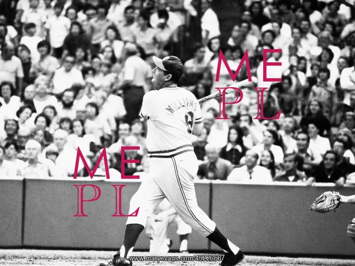 : Ted Williams, Manager of the Texas Rangers, ? : Ted Williams, Manager of the Texas Rangers, ?