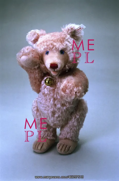  : Teddy bear