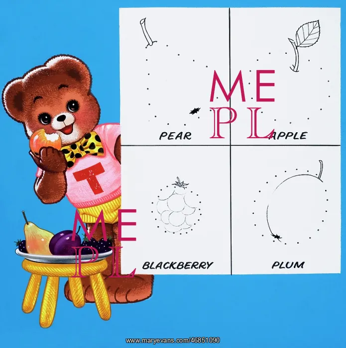  : Teddy Bear