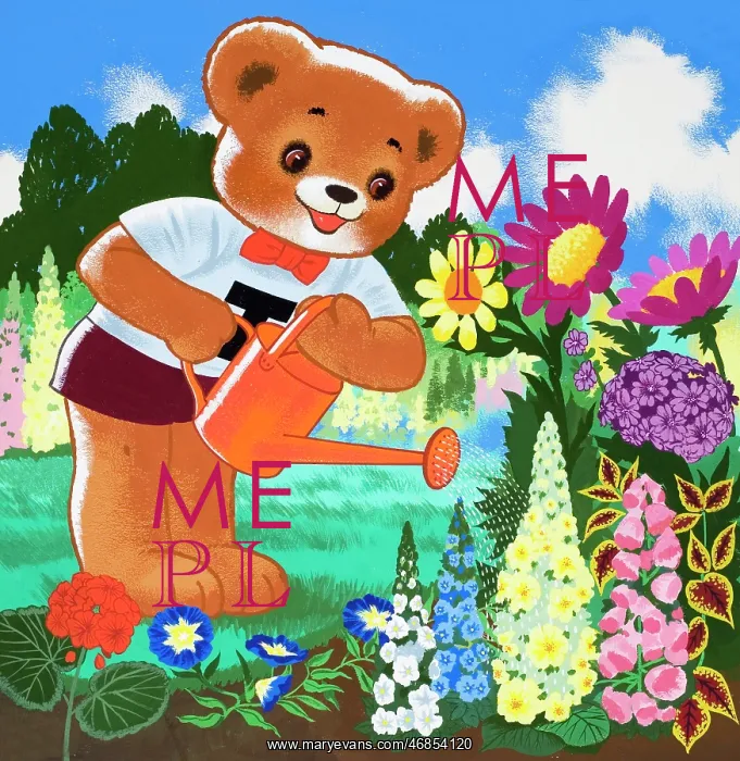  : Teddy Bear