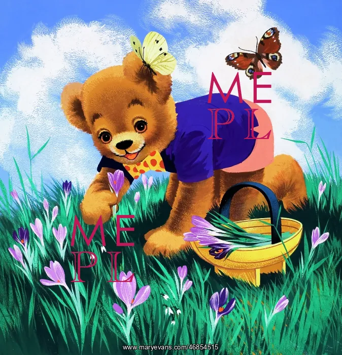  : Teddy Bear