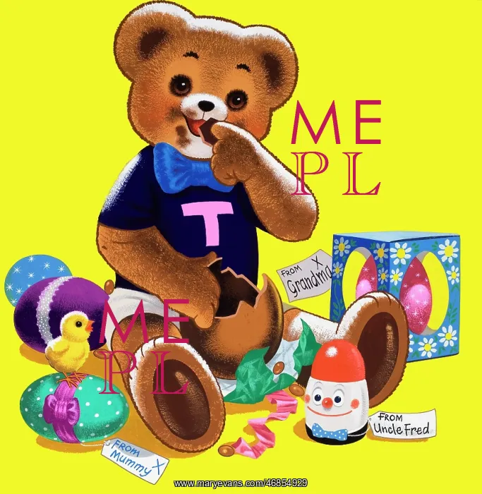  : Teddy Bear