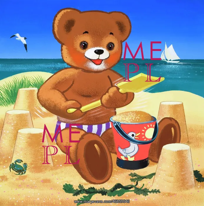  : Teddy Bear