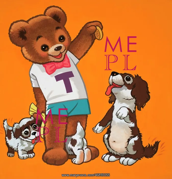  : Teddy Bear