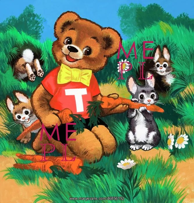  : Teddy Bear