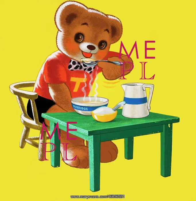  : Teddy Bear