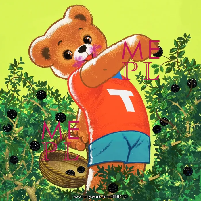  : Teddy Bear