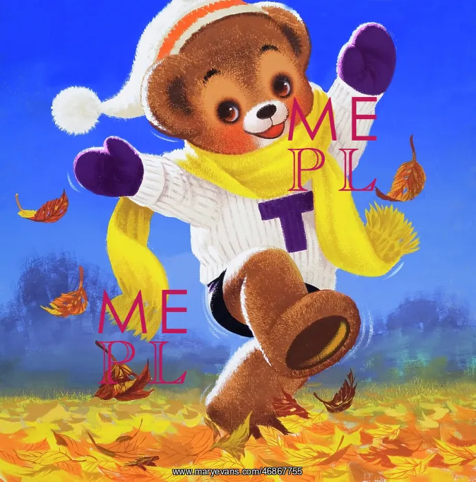  : Teddy Bear