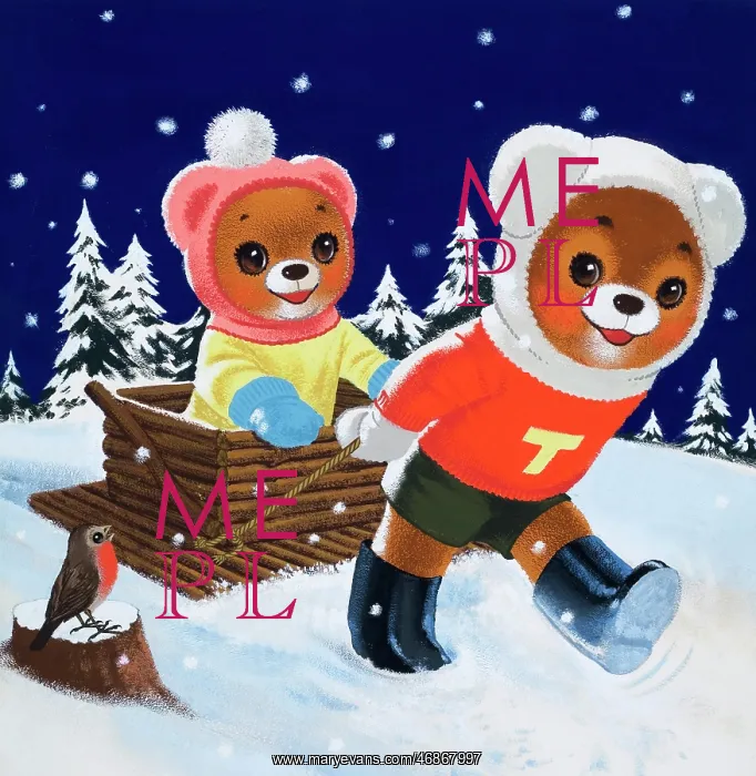  : Teddy Bear