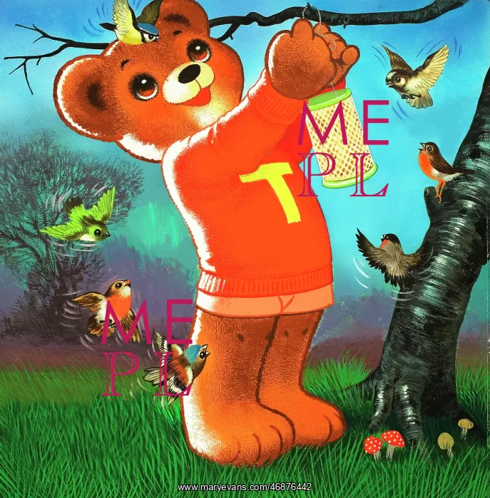  : Teddy Bear