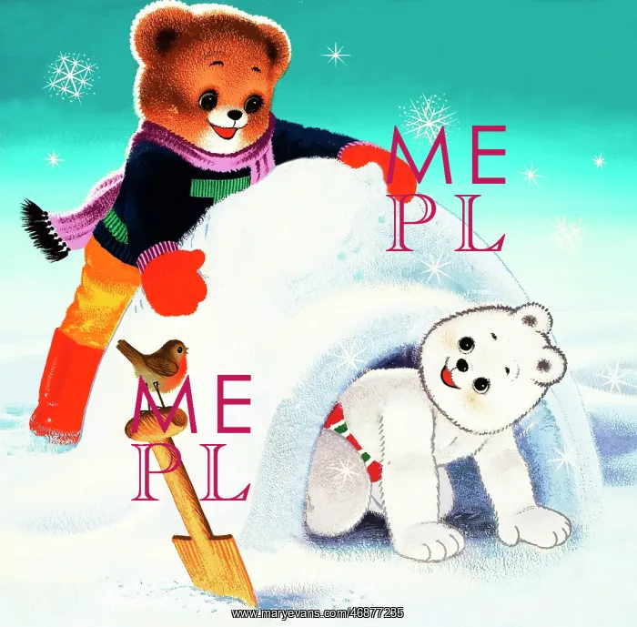  : Teddy Bear