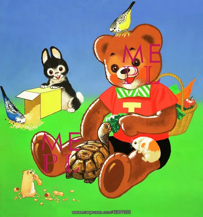  : Teddy Bear