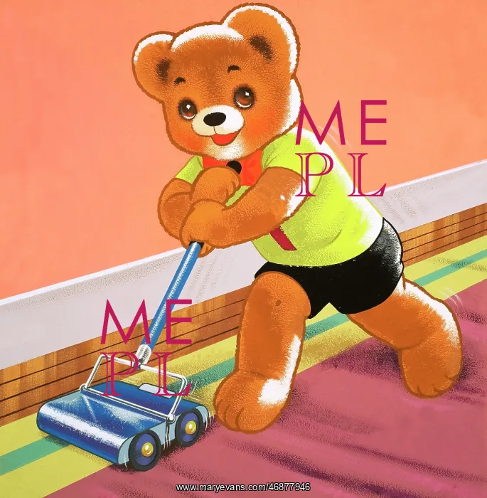  : Teddy Bear
