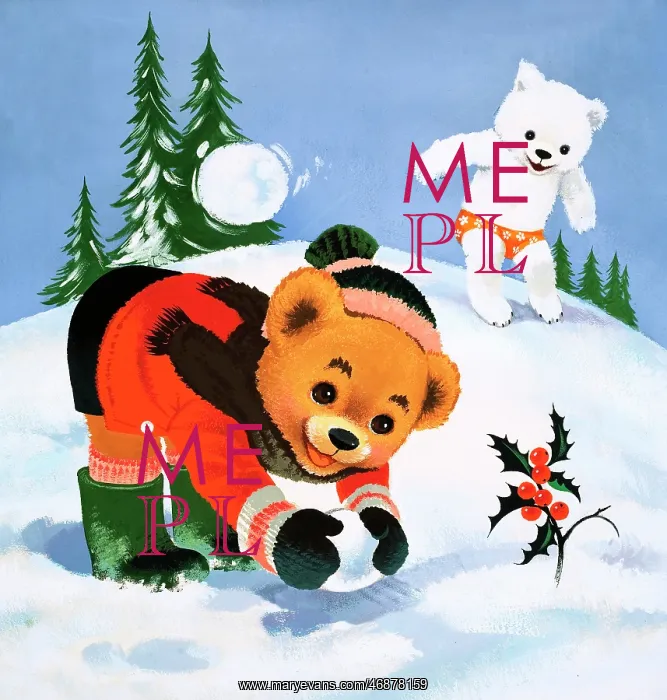  : Teddy Bear