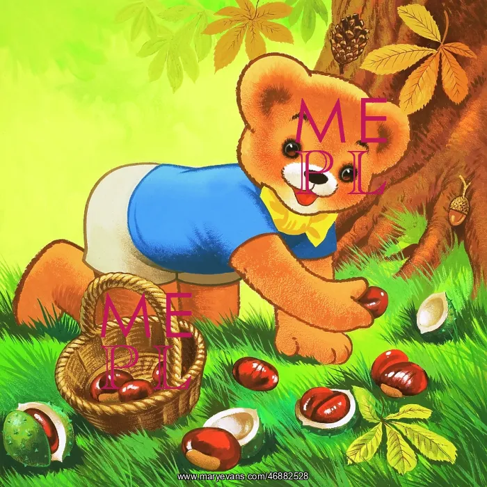  : Teddy Bear