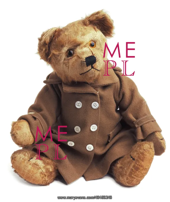  : TEDDY BEAR