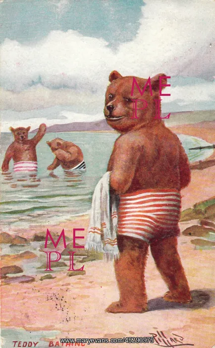 : Teddy bear on the beach
