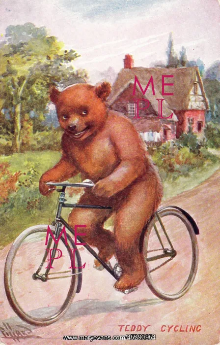  : Teddy bear on a bicycle