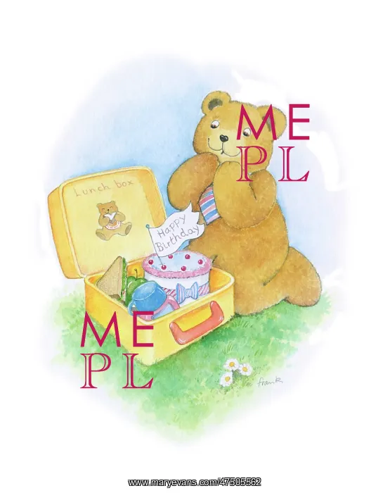  : Teddy bear with birthday cake in lunch box