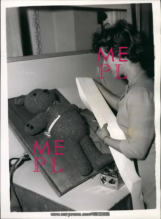 : Teddy bear demonstrates breathing in babies, exhibition : Teddy bear demonstrates breathing in babies, exhibition