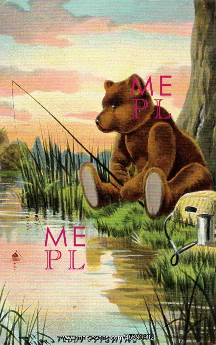  : Teddy bear fishing