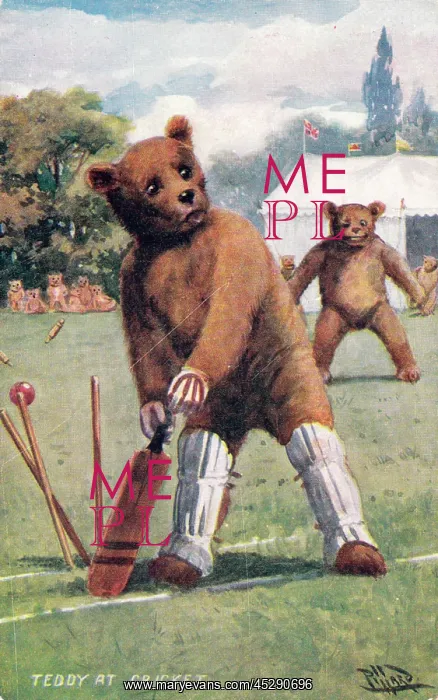 : Teddy bear playing cricket : Teddy bear playing cricket