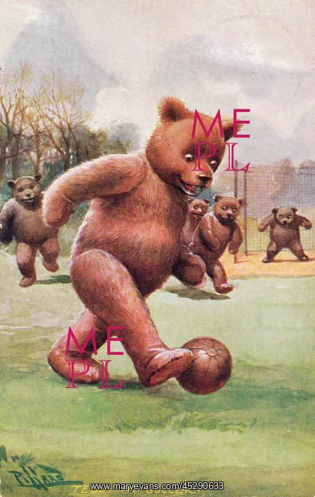  : Teddy bear playing football