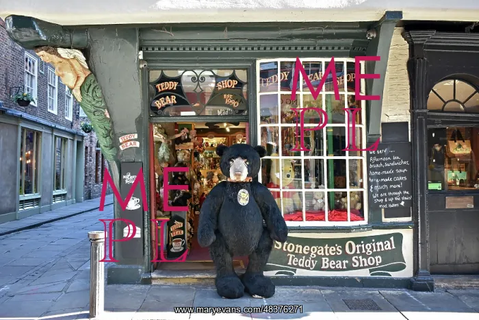 : Teddy Bear Shop, York : Teddy Bear Shop, York