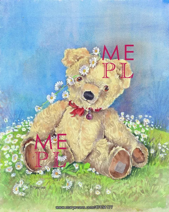 : Teddy Bear surrounded by Daisies : Teddy Bear surrounded by Daisies