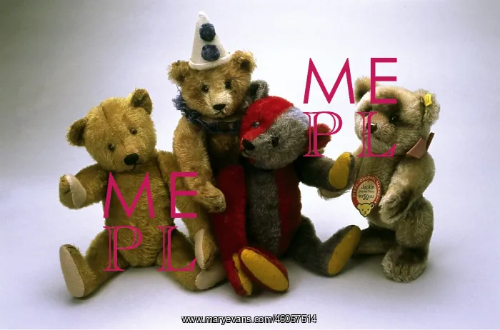 : Teddy bears : Teddy bears