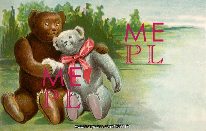  : Two Teddy Bears