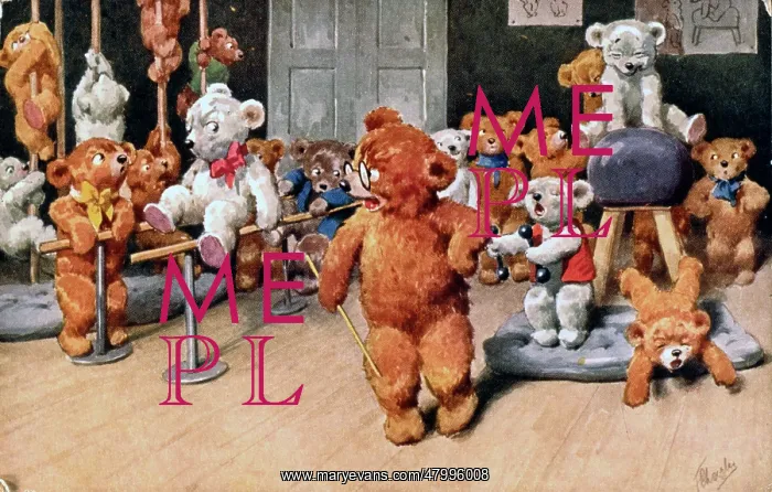 : Teddy bears in a gymnasium : Teddy bears in a gymnasium