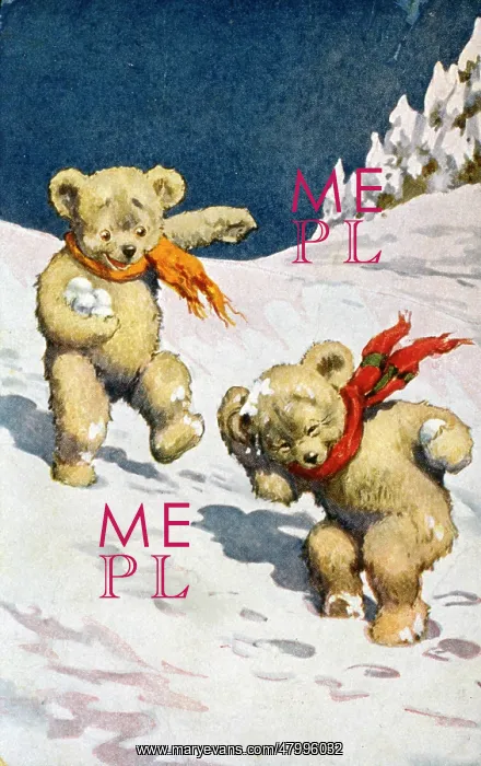 : Two teddy bears playing with snowballs : Two teddy bears playing with snowballs