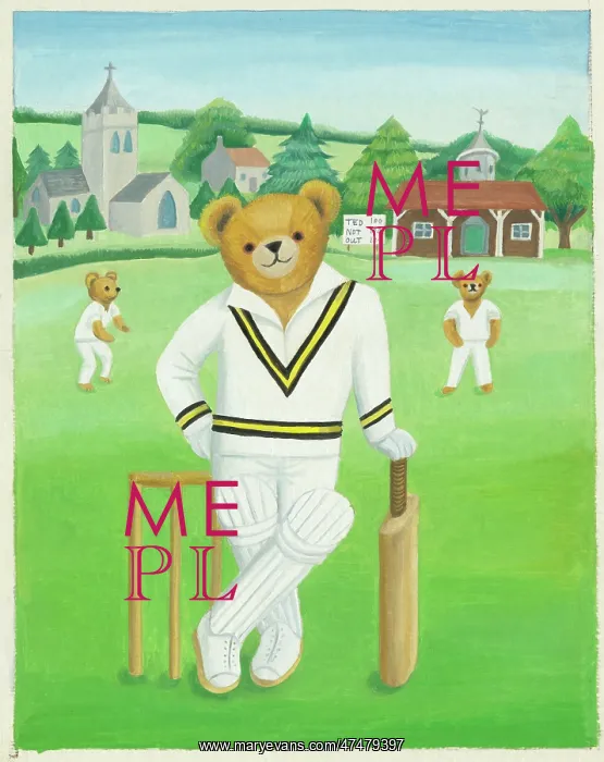 : Teddy Cricketer