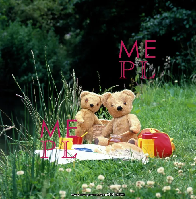  : Teddy and Eddie Setting Out Their Picnic
