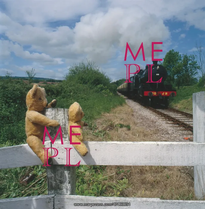  : Teddy and Eddie Go Train Spotting