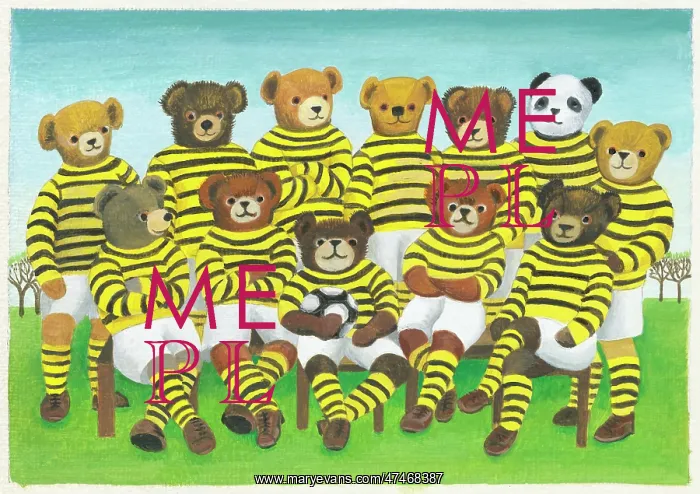  : Teddy Football Team