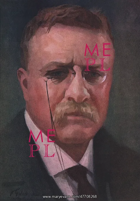 : Teddy Roosevelt : Teddy Roosevelt