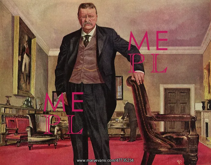 : Teddy Roosevelt : Teddy Roosevelt