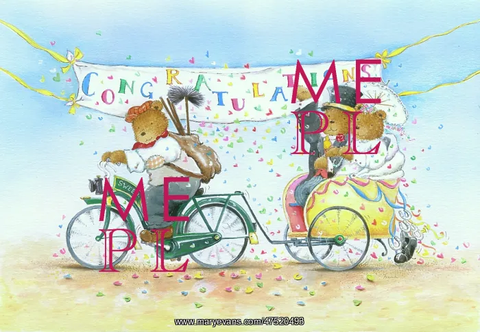 : Teddy sweep on a bicycle towing bride & groom : Teddy sweep on a bicycle towing bride & groom