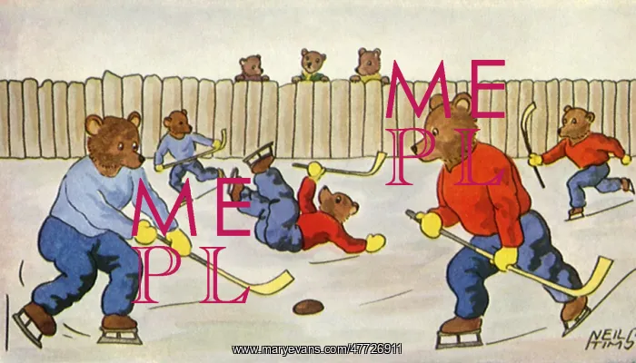  : Teddys Play Ice Hockey