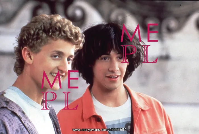 : Bill And Ted'S Excellent Adventure : Bill And Ted'S Excellent Adventure