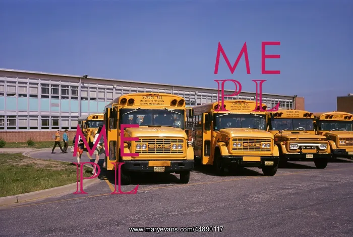  : Teenagers Boarding Buses Schoolbuses