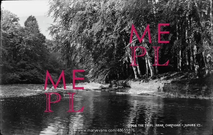  : The Teifi River Near Cardigan